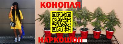 СК Тара